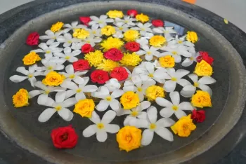 kg-graduation-8 kg-graduation-8